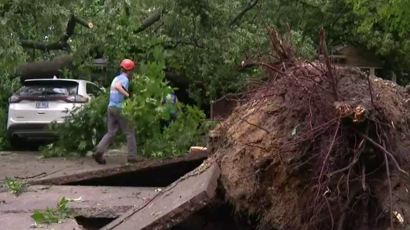 Fallen trees, downed power lines reported after storms move through Metro Detroit