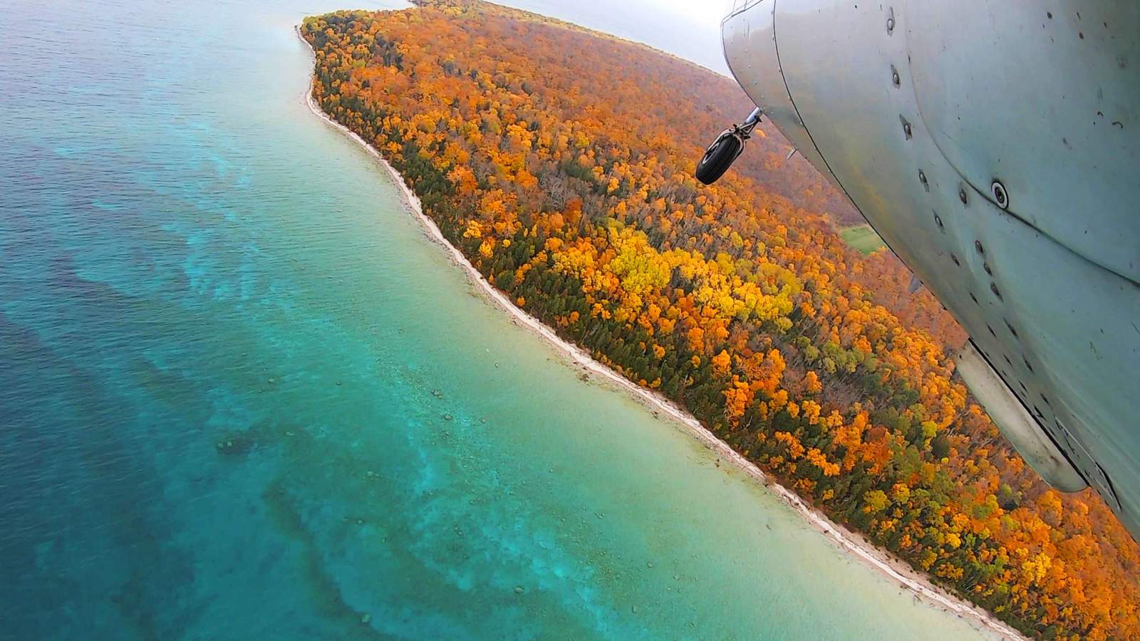 Shattered Podcast Child Killer Chapter 5 North Fox Island Katil pirana kayıp ada adlı oyunumuzda kontrolünü sağladığınız balık ile oyun alanındaki tüm düşmanlarınızı parçalayacak ve oyun içerisindeki bölümü tamamlamaya çalışacaksınız. child killer chapter 5 north fox island