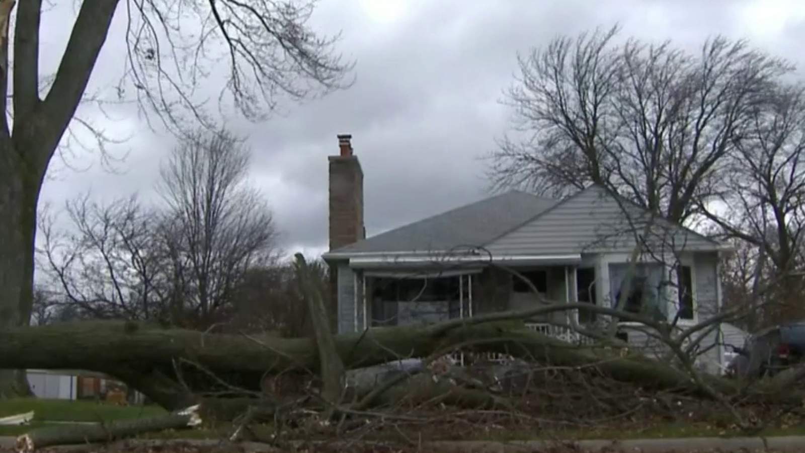 Intense wind brings down trees, causes mass power outages across Metro Detroit
