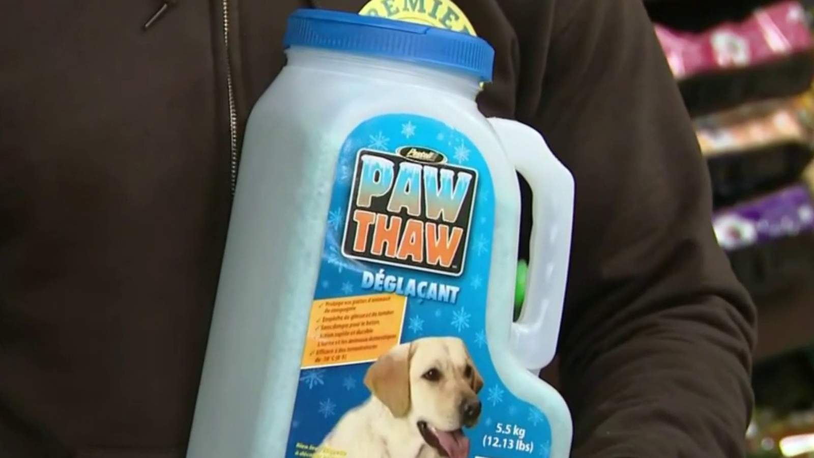 Tips on keeping the paws of pets clean
