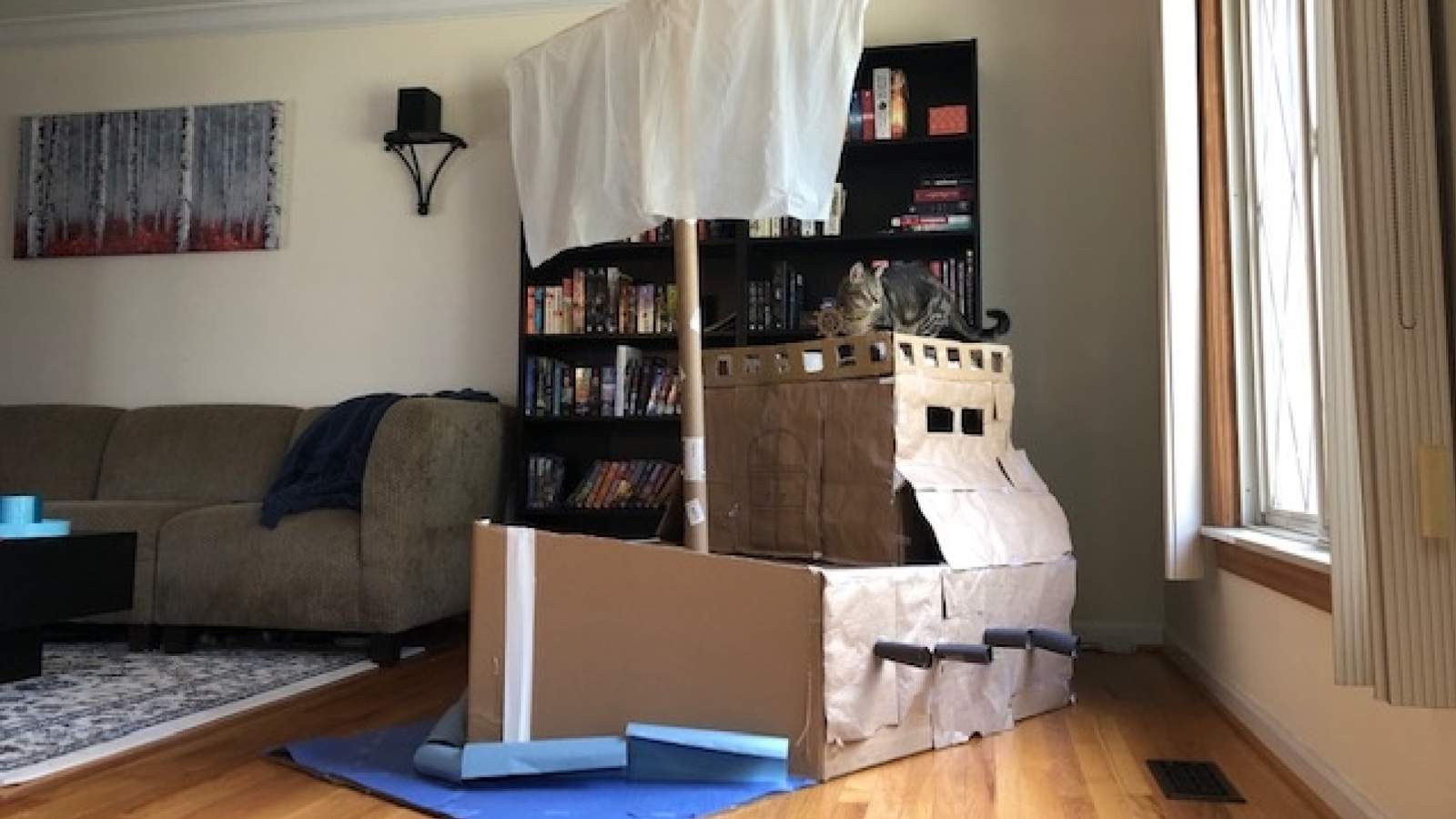 Heres the purr-fect thing you can do with all those old boxes!
