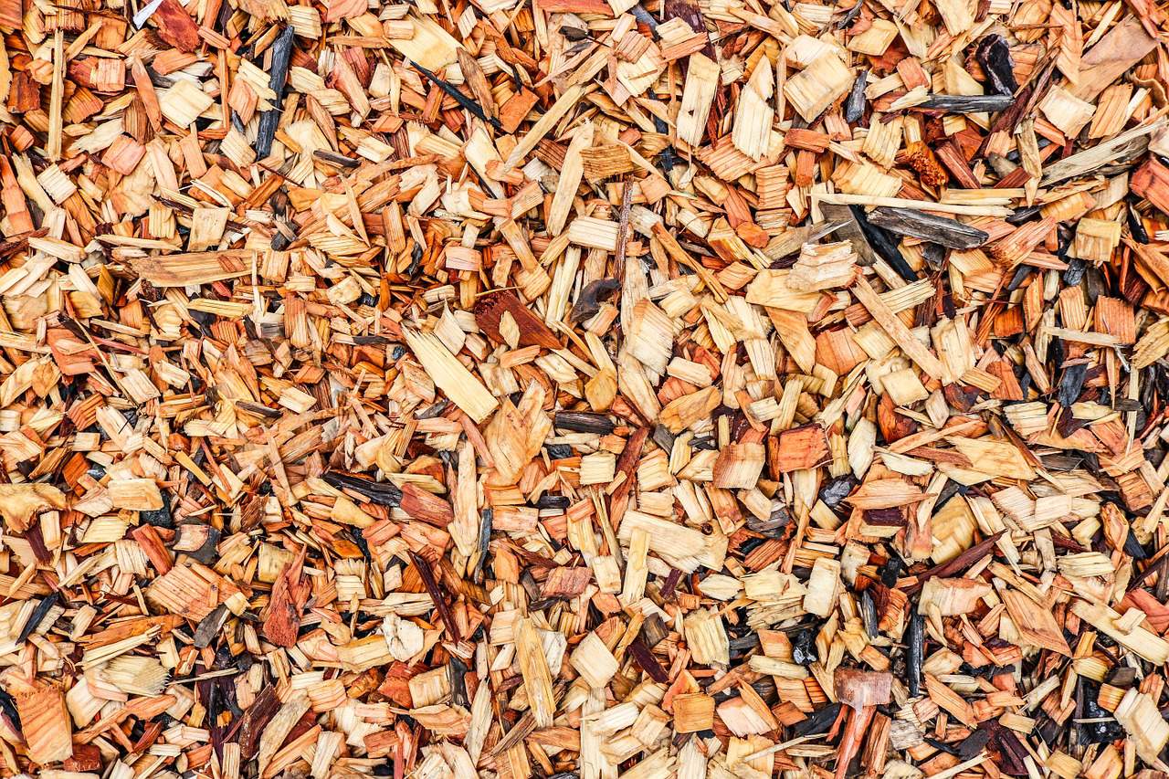 City of Ann Arbor to offer free wood chips for residents Saturday