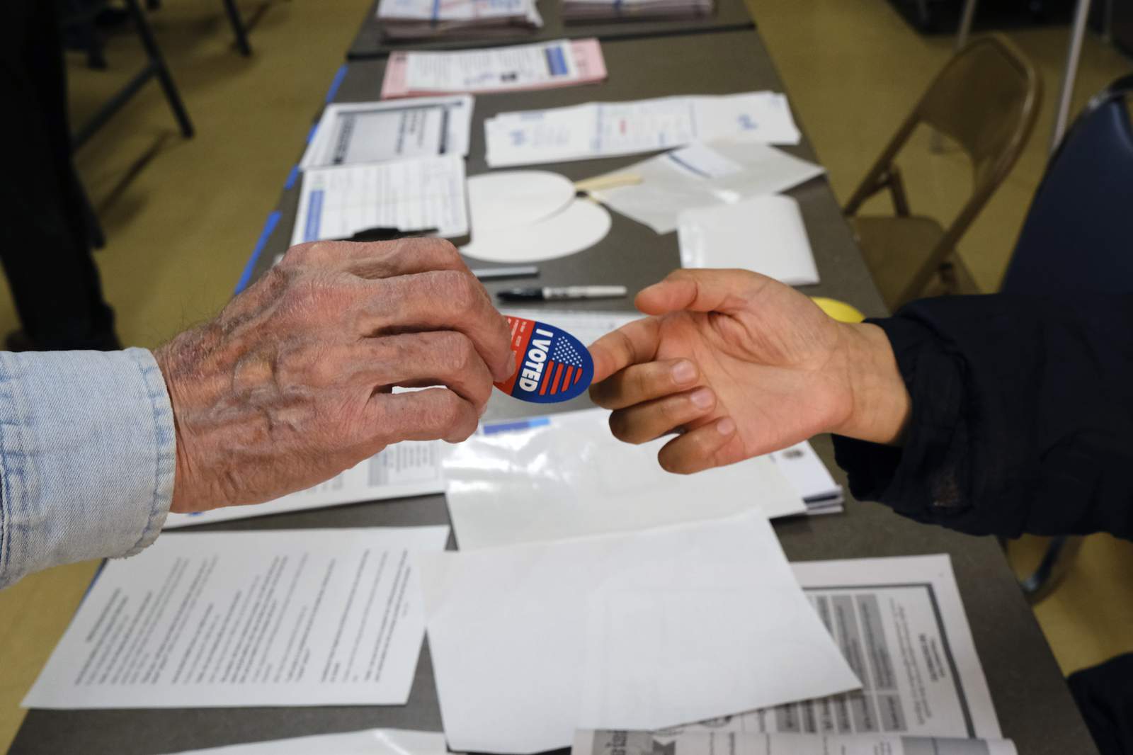 2020 Michigan Presidential Primary Election: How to view your sample ballot
