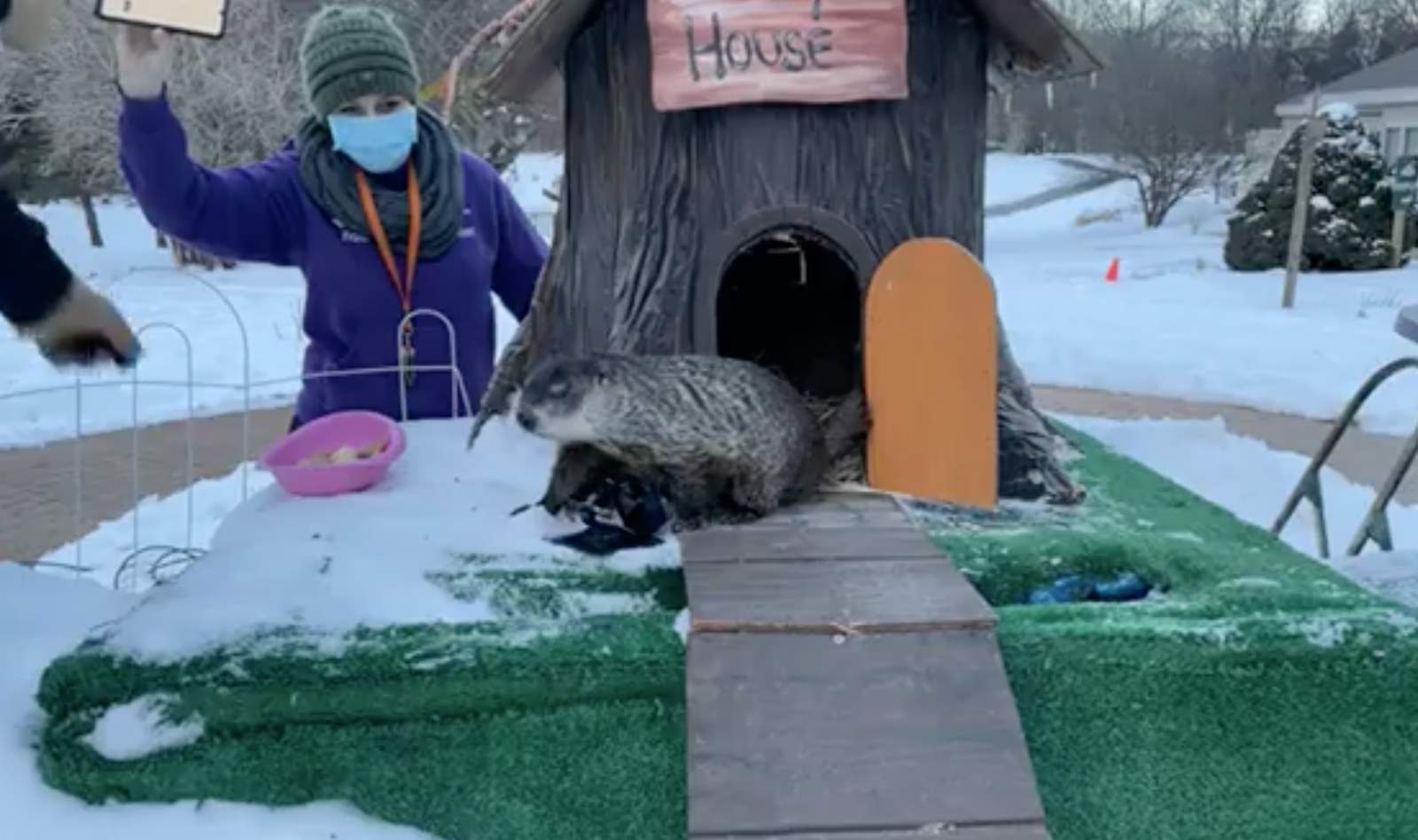 Michigan’s groundhog ‘Woody the Woodchuck’ goes back in house, indicating long winter