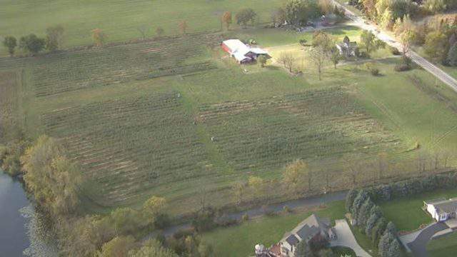 Thieves steal 7,000 pounds of apples off trees owned by Fenton apple orchard