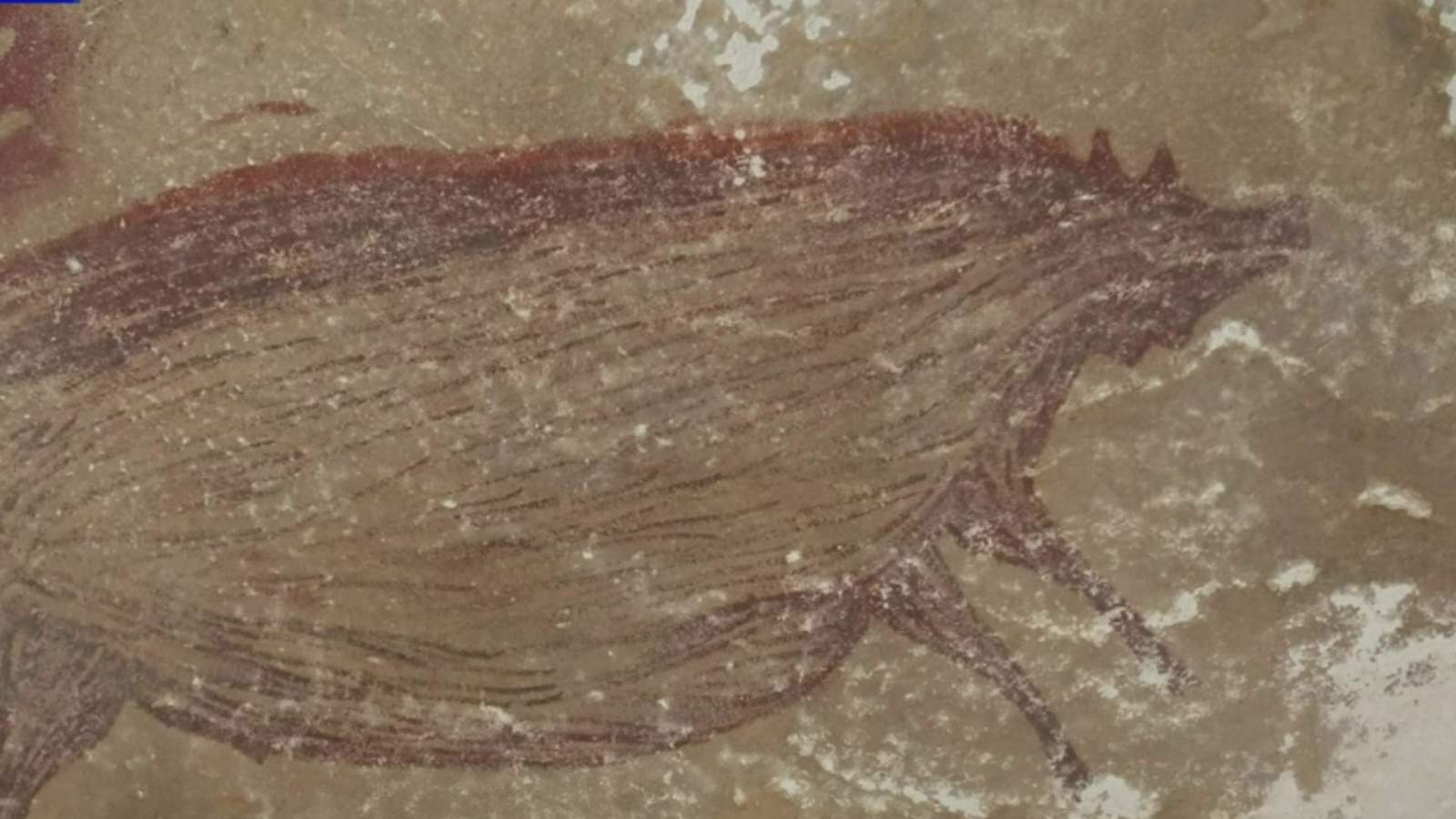 45,000-year-old cave painting of pig may be oldest known animal art in world