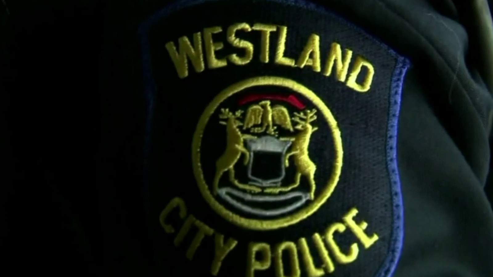 Westland Police Department shares crime stats to the public online