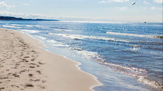 Report: Brain found along Lake Michigan beach not human
