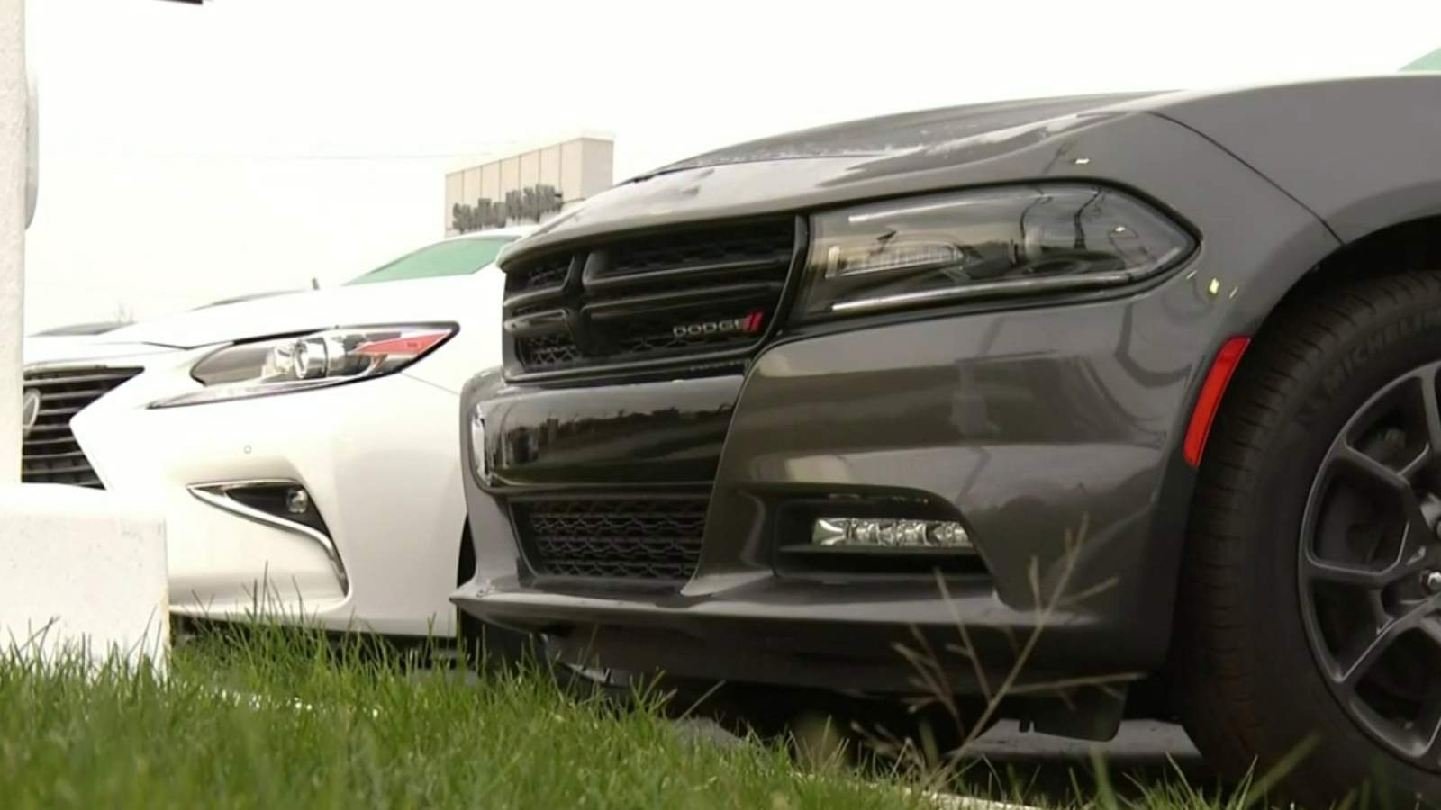 If you own a Dodge Charger or Challenger you’ll want to take steps to protect it from thieves, Sterling Heights police say