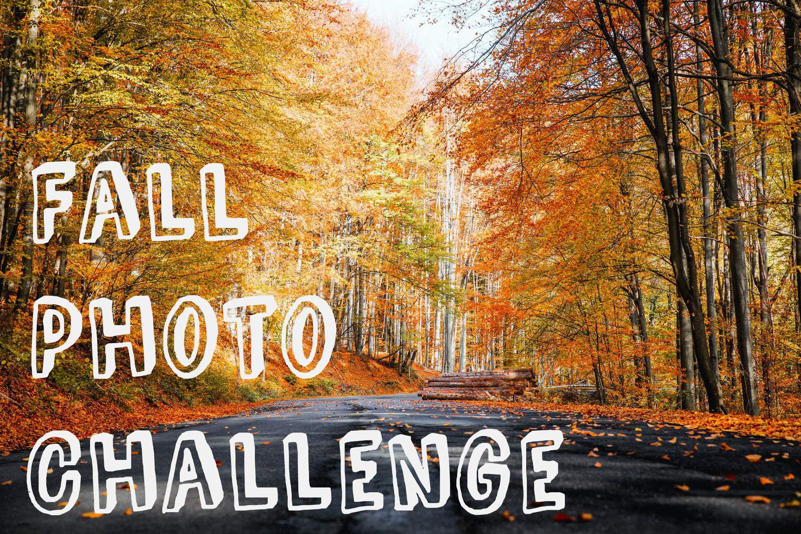 Submit your pictures to the A4 Fall Photo Challenge