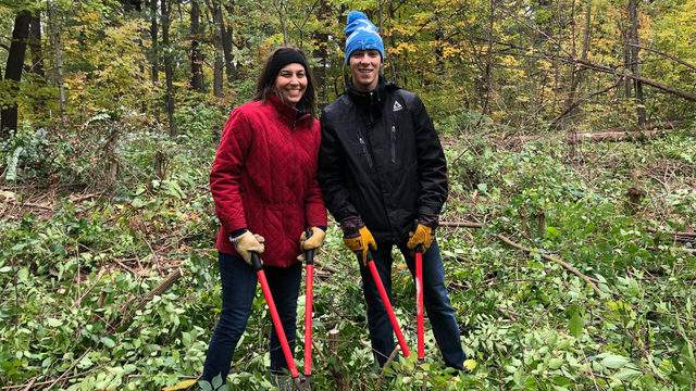 Volunteer in these Ann Arbor parks in November