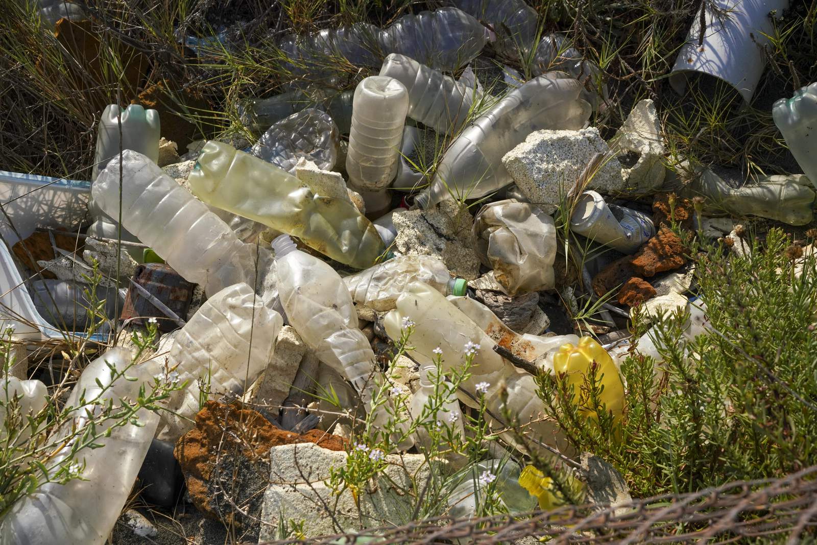 Mexico City ban on single-use plastics takes effect