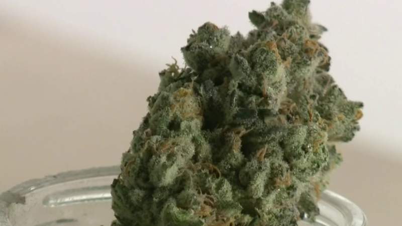 Proposed marijuana dispensary sparks debate in River Rouge