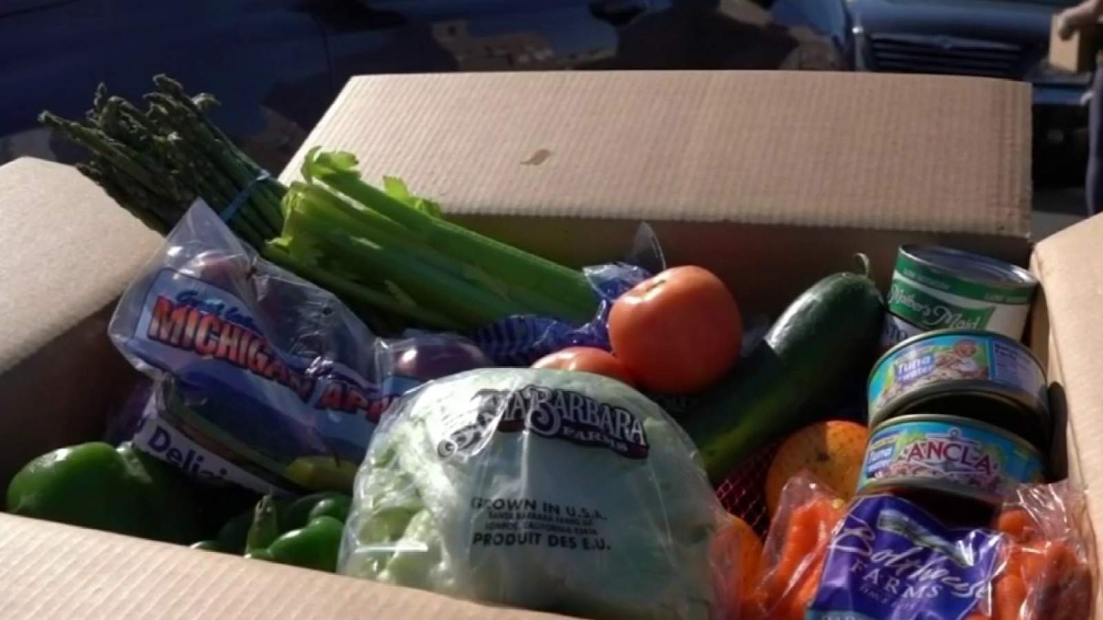 More people in Metro Detroit are facing food insecurity amid COVID-19 pandemic