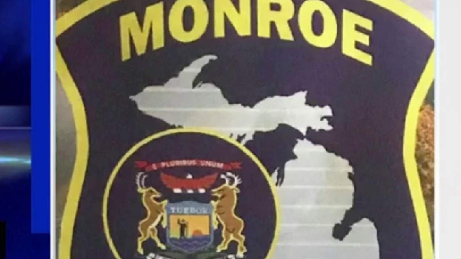 Man arrested for online domestic terror threat targeting Monroe County Sheriff’s Office
