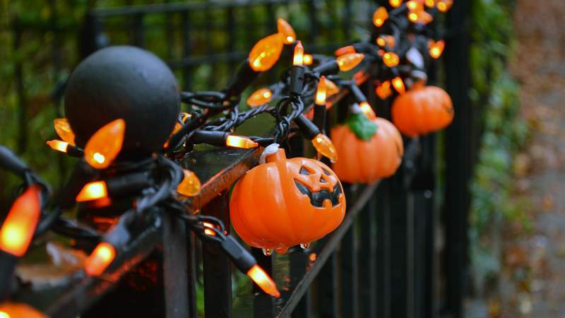 Survey results: Most people celebrating Halloween this year, going trick-or-treating