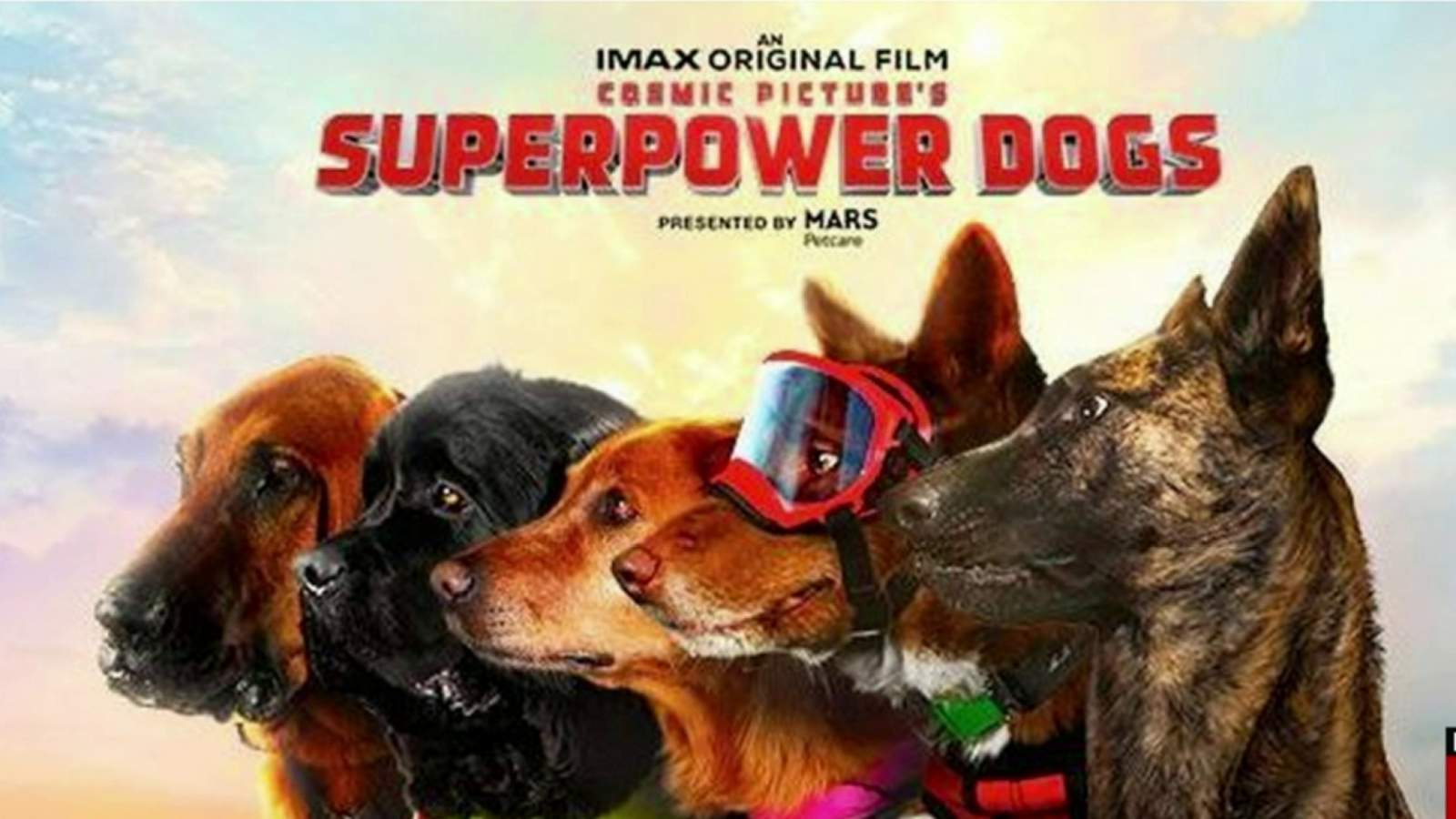 Join in on the fun at Michigan Humane’s Movie Event