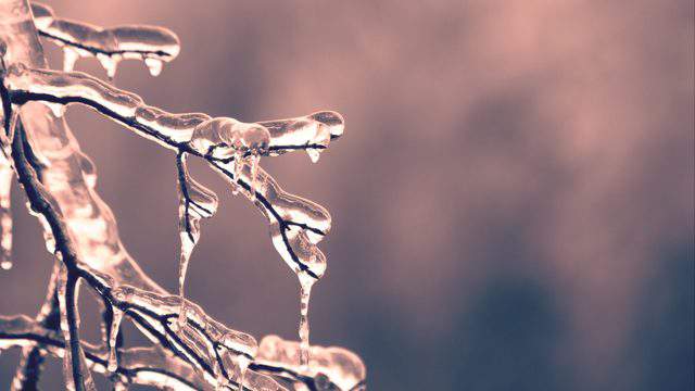 Potentially ‘crippling’ ice storm could knock out power across Michigan