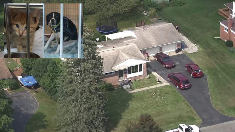 100 animals -- 16 dead -- removed from ‘unsanitary conditions’ in Oakland County home