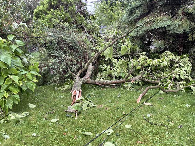 StormPins: Metro Detroiters share weather damage photos from July 7, 2021 storms