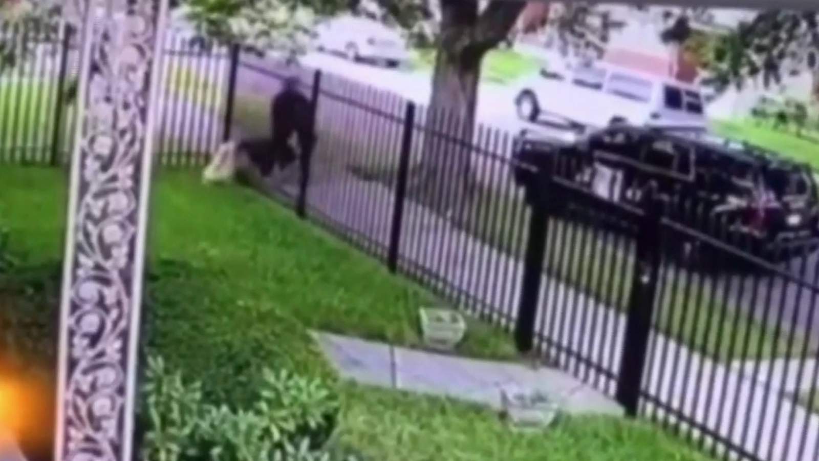 Detroit police chief provides details in officers shooting of dog on other side of fence