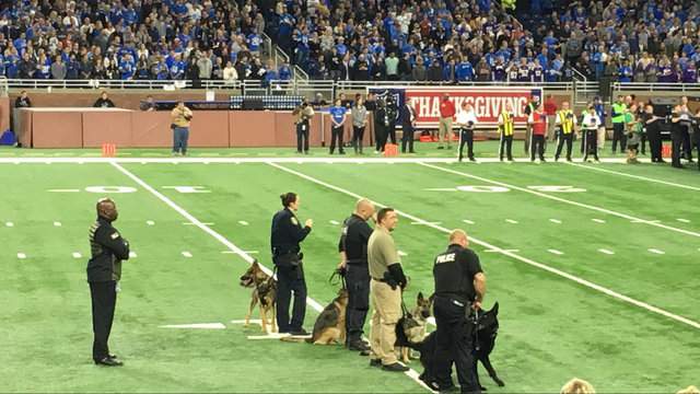 Wayne State officer killed remembered at Lions game