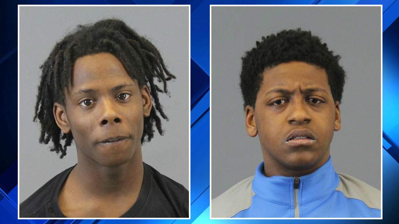 Detroit teens steal from vehicles, flee Northville Township police in stolen car, officials say