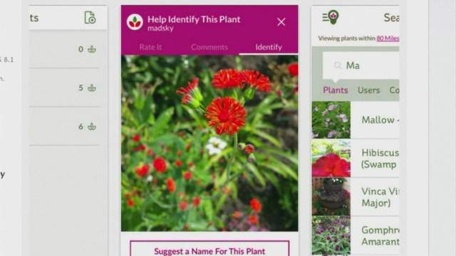 Apps with tips to help grow your garden
