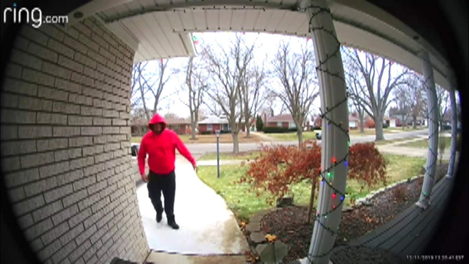 Man caught on camera swiping package from porch of Allen Park home