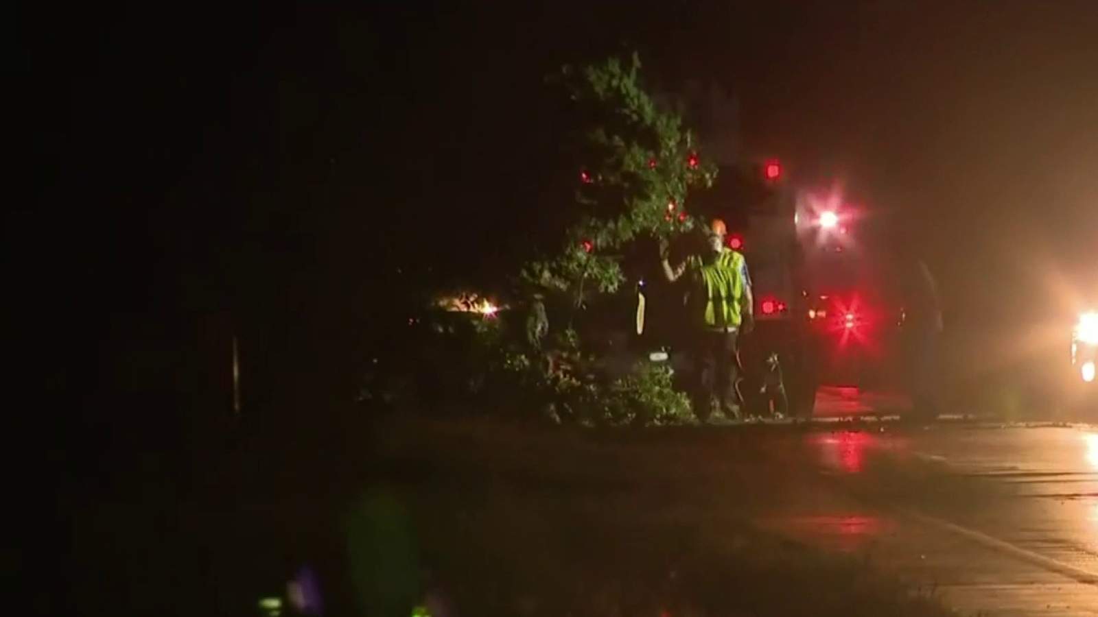 Father killed, daughter hospitalized when large tree falls on minivan in Oakland County