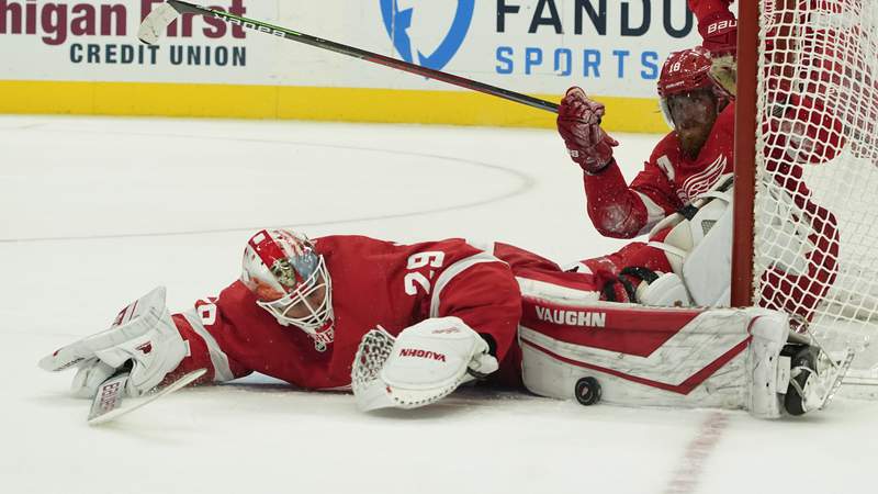 Greiss makes 40 saves as Red Wings beat Canucks 3-1