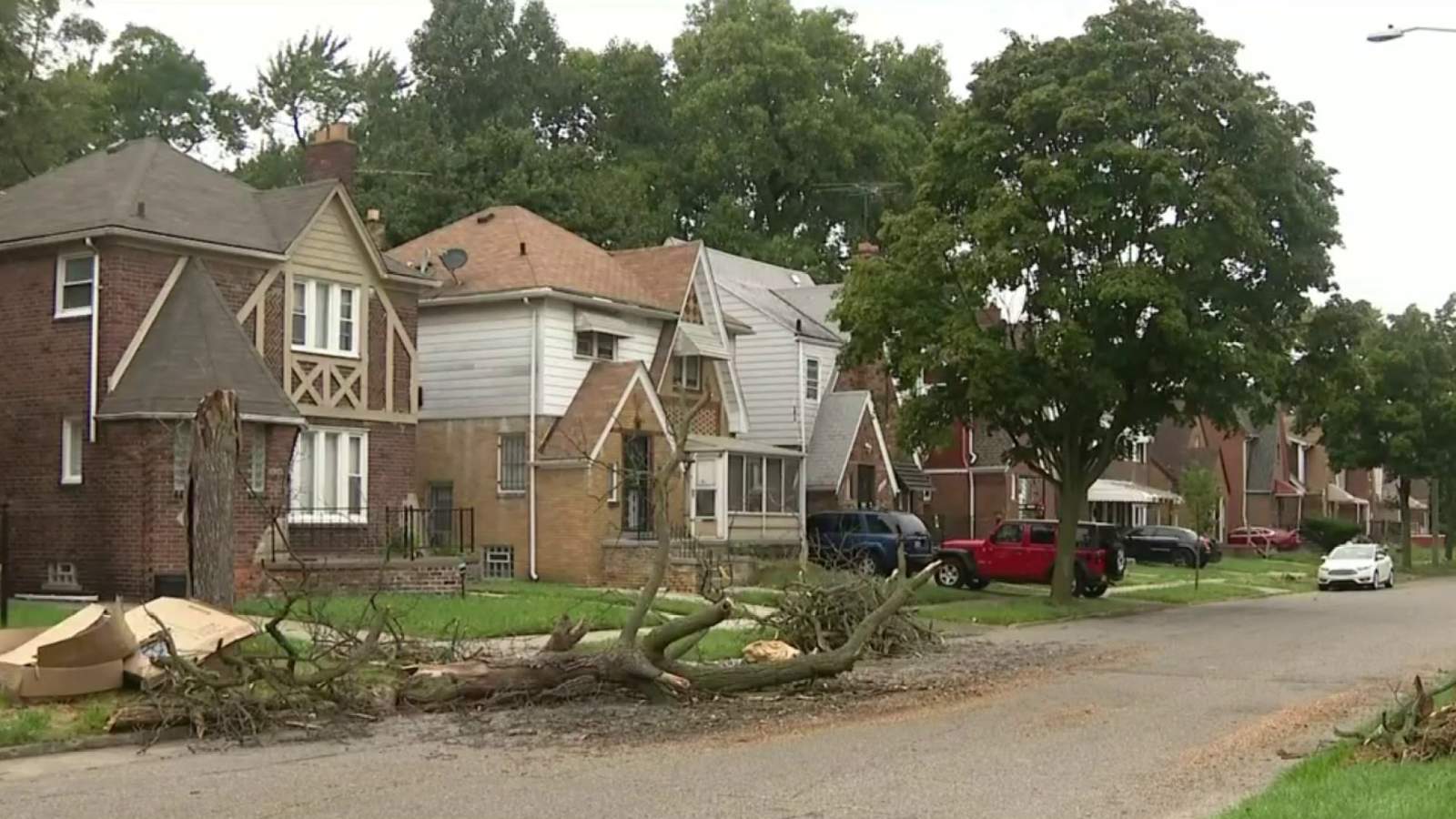 Residents concerned over safety issue after fallen tree, debris litter Detroit street
