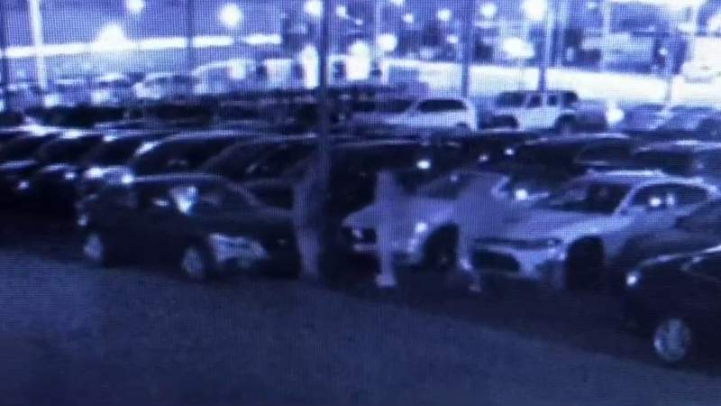 Thieves target car dealership in Roseville