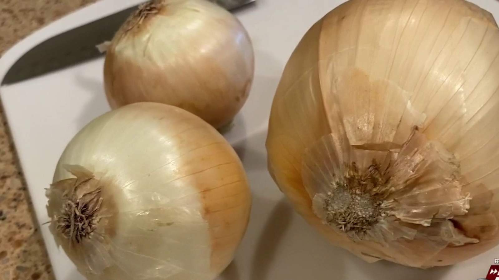 Recall expands for onions linked to Salmonella outbreak; 44 cases in Michigan