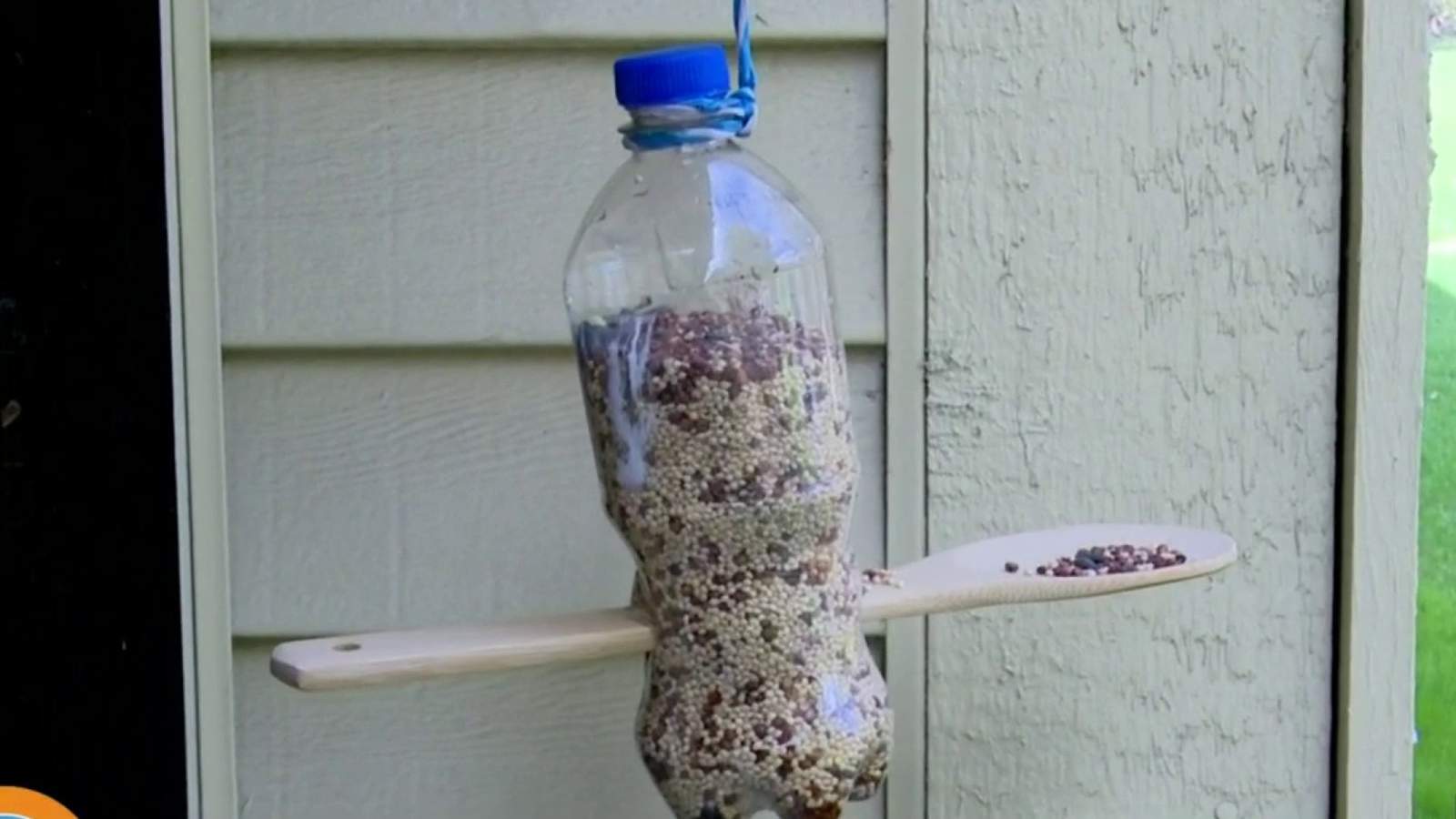 Give the birds something to sing about with a homemade bird feeder!