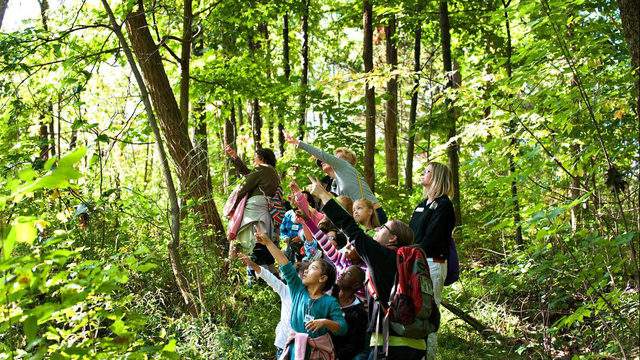 Leslie Science & Nature Center hiring summer camp educators