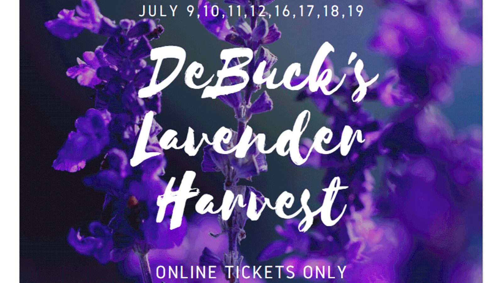 No description available