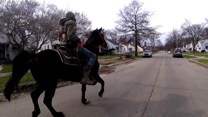 'Only on 7 Mile': Detroit's urban cowboy turns heads on horseback